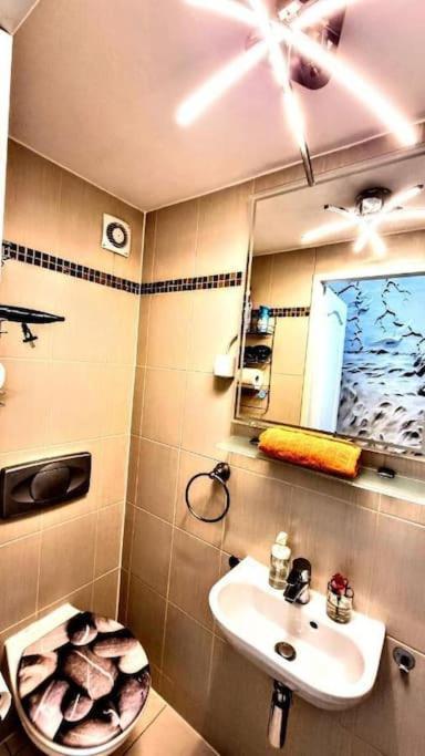 Apartment Modern Flat With Great Location For Longer Wien